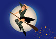 sexy witch flying on broom