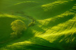 Foto: morning on countryside in Tuscany morning on countryside in Tuscany