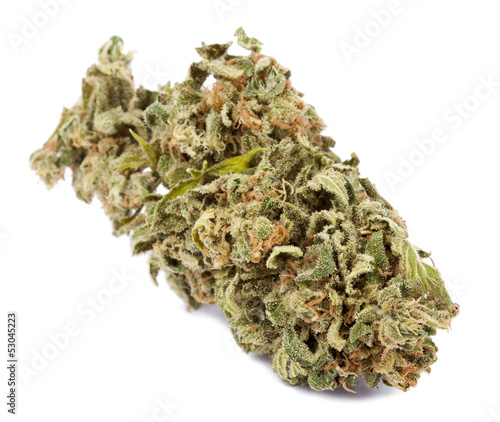 Photo: Isolated Cannabis Bud Isolated Cannabis Bud