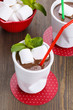 Hot chocolate with marshmallows decorated with mint leaves