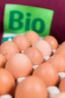 frische bioeier
