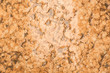 Wet rock background.