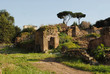 Palatyn