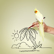 Photo: Parrot sitting on hand Parrot sitting on hand