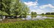 Photo: Tree with a horizontal tree trunk reflected in the water Tree with a horizontal tree trunk reflected in the water