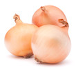 Gold onion vegetable bulbs