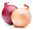 Onion vegetable bulbs