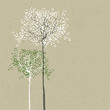 Trees background. The trunk and leaves in separate layers. Vecto