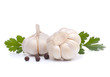 Foto: garlic bulb garlic bulb