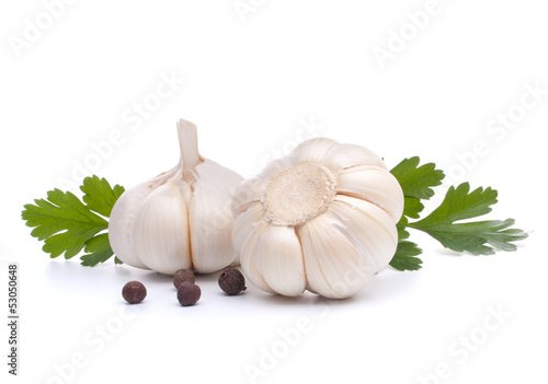Photo: garlic bulb garlic bulb