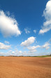 Land and clouds.
