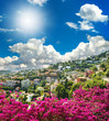 provence, france, mediterranean landscape