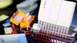 Experiment in the microbiology laboratory