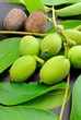 Mallo di noce