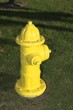 Yellow Hydrant