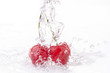 ciliege splash