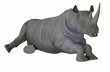 rhinocéros 4