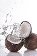 noce di cocco splash