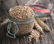 Wheat in a preserving glass