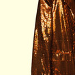shiny gold jacket