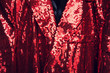 Foto: sparkly sequin jacket sparkly sequin jacket