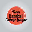team baseball