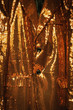 Foto: golden sparkly jacket golden sparkly jacket