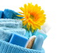 Photo: Wellnesskorb Blau Gerbera Wellnesskorb Blau Gerbera