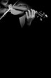 Foto: Violin orchestra concert Violin orchestra concert