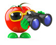 Tomato watches for latest developments