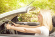 beautiful woman in the car