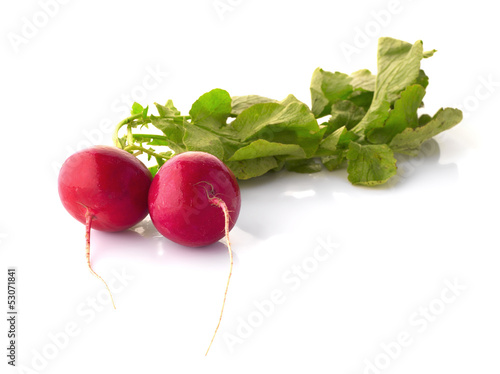 Photo: Bunch of fresh radish isolated on white Bunch of fresh radish isolated on white