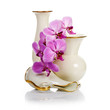 Old Vases and Orchid