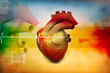 Digital illustration of Human heart