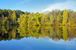 Foto: Trees on the shore of lake in autumn Trees on the shore of lake in autumn