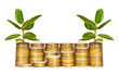 Money growth
