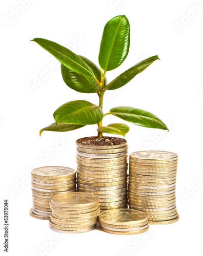 Photo: Money growth Money growth