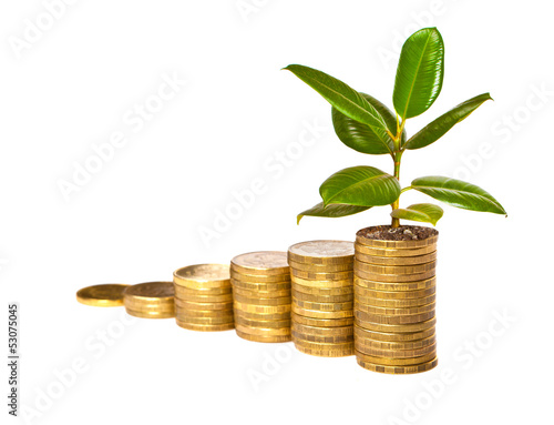 Photo: Money growth Money growth