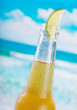 Foto: bottle of beer with lime bottle of beer with lime