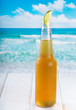 Foto: bottle of beer with lime bottle of beer with lime