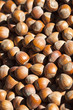 Some hazelnuts at street market