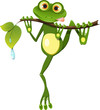 frog on a branch