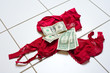 lingerie with money