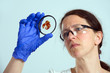 woman in laboratory with object holder