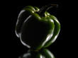 Green sweet pepper on a black background