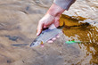 fisher holds a grayling