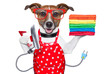 housewife dog