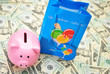 Gift Bag and Pink Pig Bank on American Monies