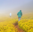 Heavy fog in the mountains