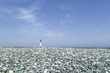 île de sein en bretagne